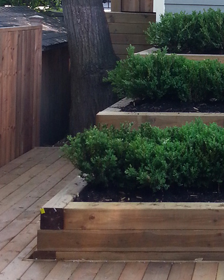 Custom Deck Structure